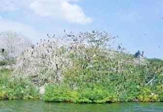 Islands of Iramba - Mara African Tourism